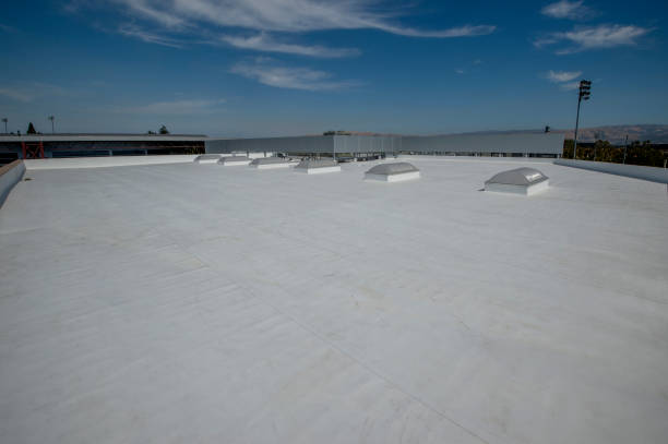 Best Sheet Metal Roofing  in Salem Heights, OH