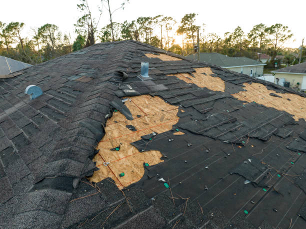 Best Gutter Installation and Repair  in Salem Heights, OH